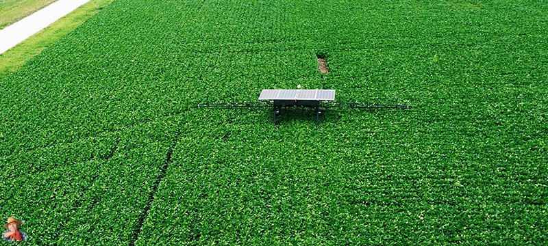 potatosystem1's tweet image. Solinftec’s Solix Robot Marks a Milestone in Sustainable Farming
#AgriculturalInnovation #SustainableFarming #RoboticsFactory #Solinftec #WHIN #StillWatersManufacturing #SolixRobot #FarmTech In a significant stride towards sustainable agricult...
potatoes.news/solinftecs-sol…