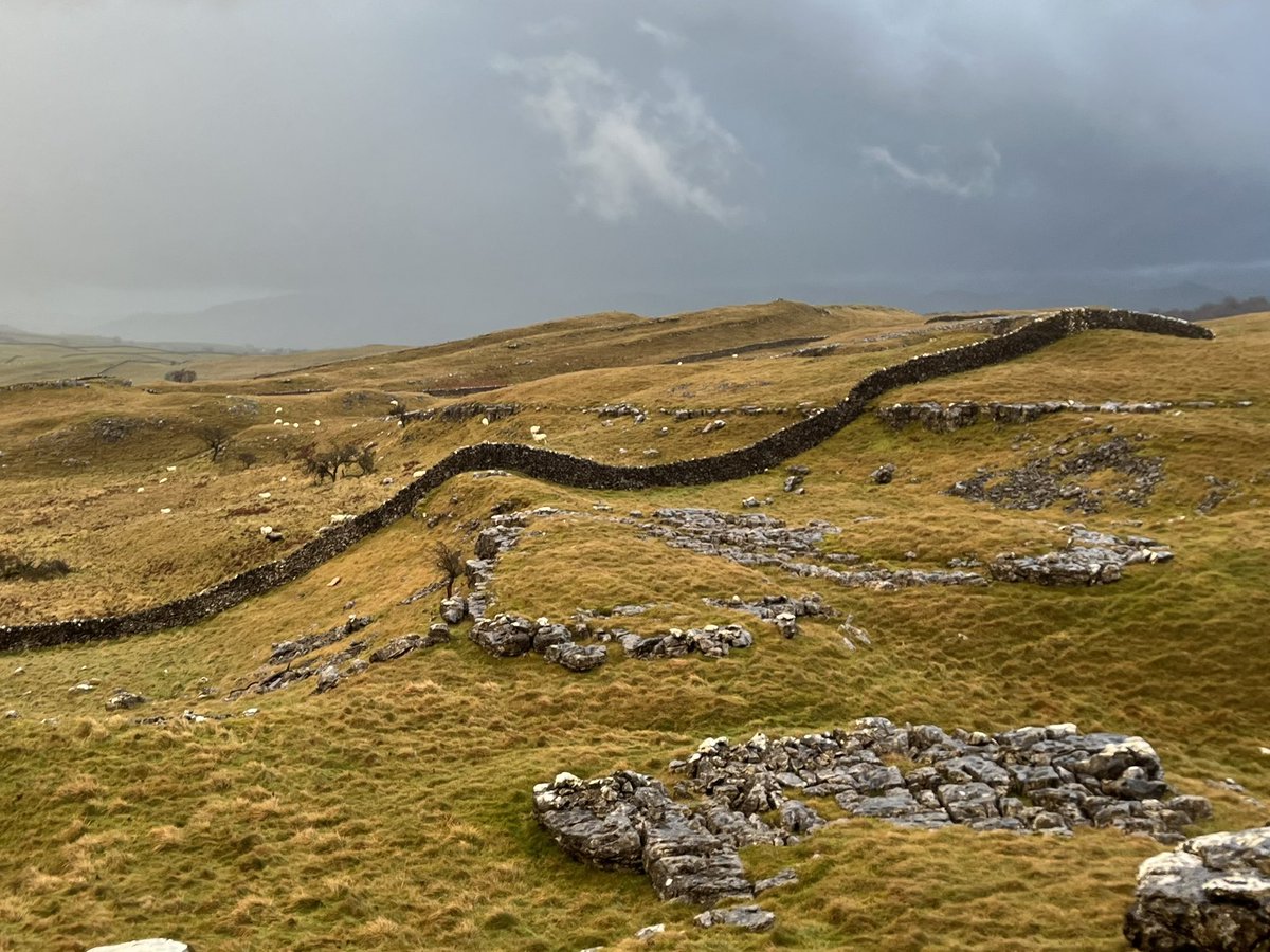 Mark Reid FRGS tweet media