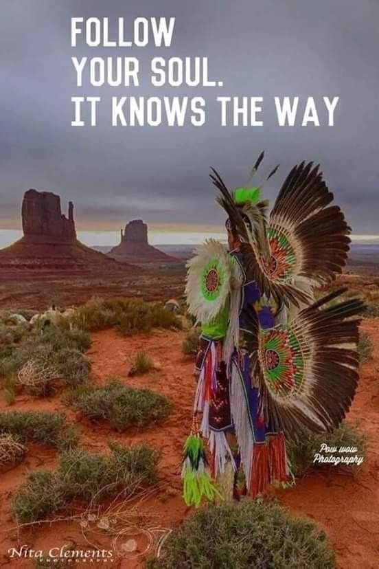 IndigeNFT tweet media