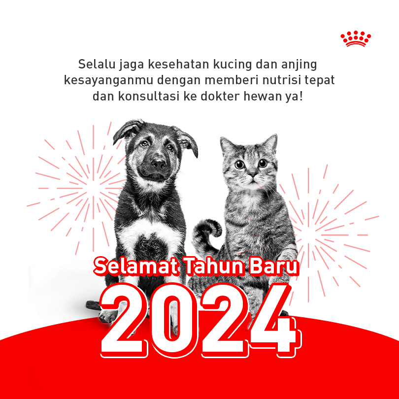 Mari sambut tahun yang baru  dengan selalu  memberikan nutrisi yang tepat bagi kucing dan anjing kesayanganmu. Selamat Tahun Baru! 😁