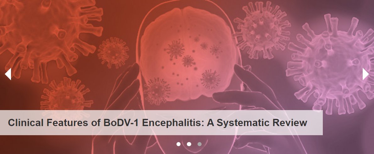 Journal Title Story🎉 Clinical Features of #BoDV-1 #Encephalitis: A Systematic Review #zoonose #zoonotic Full text: mdpi.com/2813-0227/3/4/…