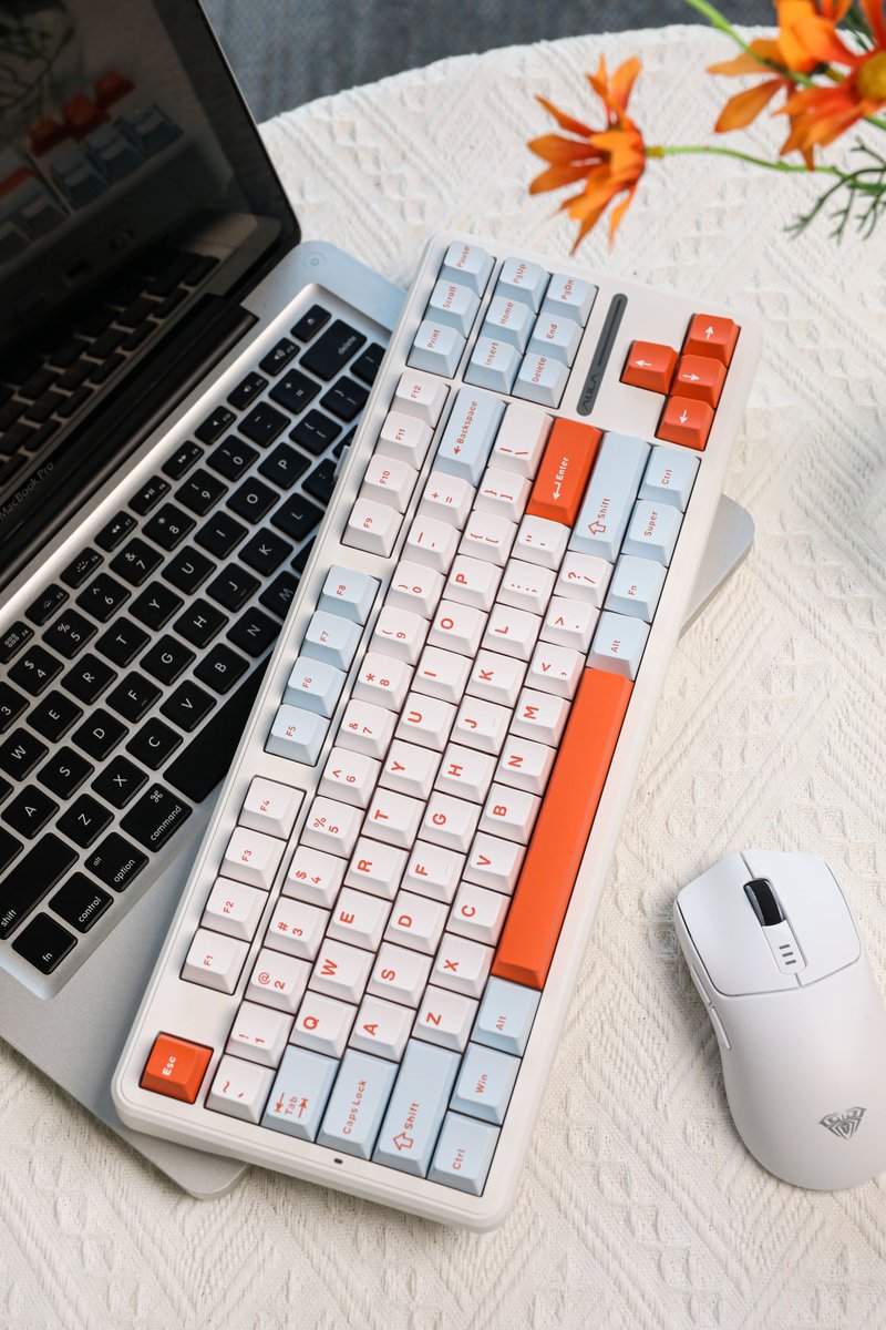 Aula_gear's tweet image. Aula F87 Pro White Orange🍊
.
.
#keyboarddesign
#mechkeyboards #gamingkeyboards #desksetup
#homeofficesetup #homeofficespace
#customkeyboards #homeoffices
#mechanicalkeyboard