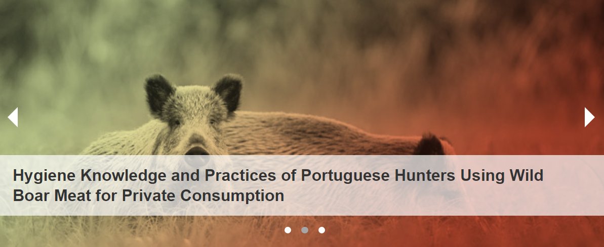 Journal Title Story🎉 Hygiene Knowledge and Practices of Portuguese Hunters Using Wild Boar Meat for Private Consumption #zoonotic #zoonose Full text: mdpi.com/2813-0227/3/4/…