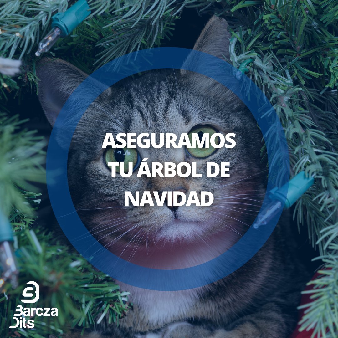 SegurosBarczaDi's tweet photo. Hoy es el Día de los Santos Inocentes y no podíamos evitarlo. 😂
No, no disponemos de un seguro para tu árbol de Navidad.
Pero para tu casa o tu mascota sí. 

#diadelosinocentes #navidad #christmas2023 #navidad2023 https://t.co/zoBunoynuX