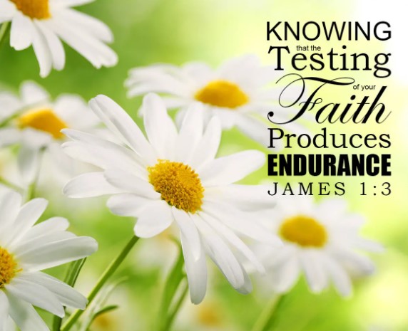 yomelijah's tweet photo. #writerslift #writers #Jehovah #God #bible #Jesus #Christ #Jesus_Christ #teaching #maturity #perfection #Christian #hope #resurrection #everlasting #life #justice #love
The #tested #quality of your #faith #produces #endurance (#James 1:3) (Facebook)
https://t.co/ApB7dTIs1t https://t.co/tcpUPk7j2z