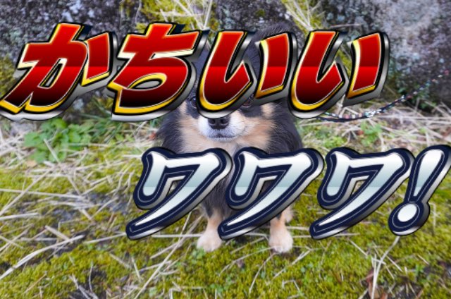 yasasikuareyo's tweet photo. https://t.co/7sQMkHLqYE