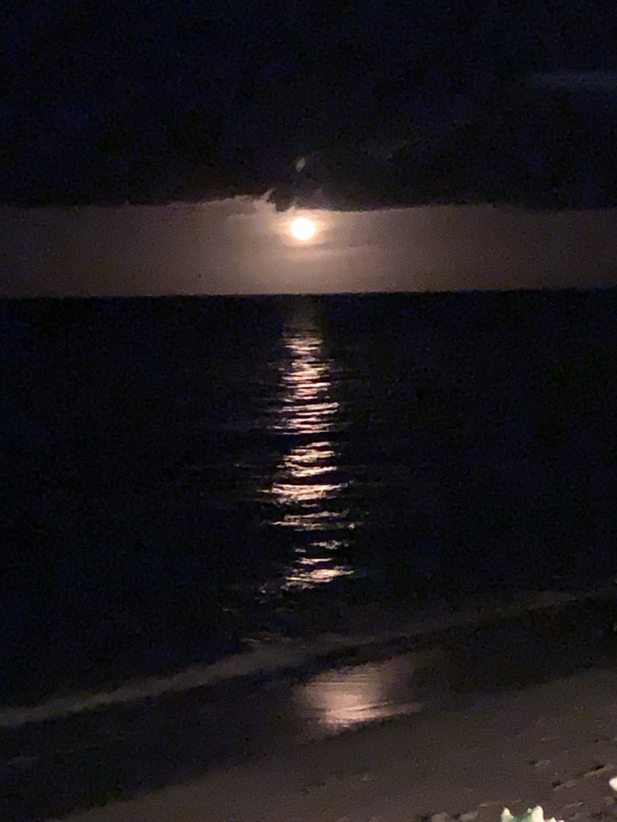 BonefishBananas's tweet photo. Beautiful full moon rising https://t.co/7Hp1HGeMce