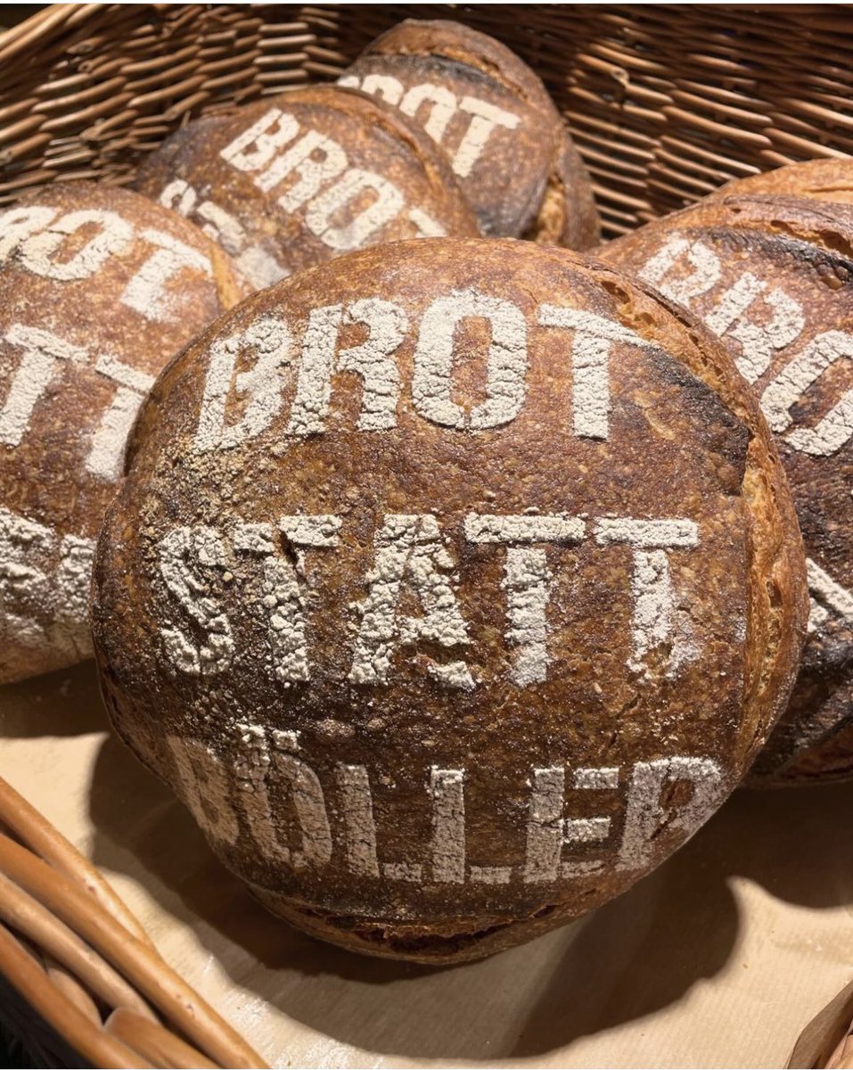 Ihr wisst Bescheid! 🦮🐕‍🦺🐩🐕🐈🐈‍⬛