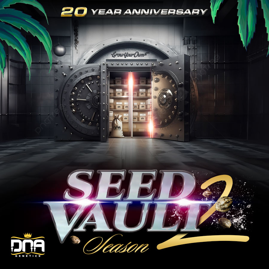Last few days to secure your slot for @DNAGenetics Season 2 Seed Vault Club 2024. Unreleased DNA strains and gear dnagenetics.shop/seed-vault-clu… #dnagenetics #cannabis #usaseeds #caliweed