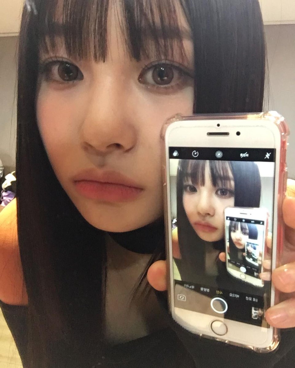 윜카이브 tweet media