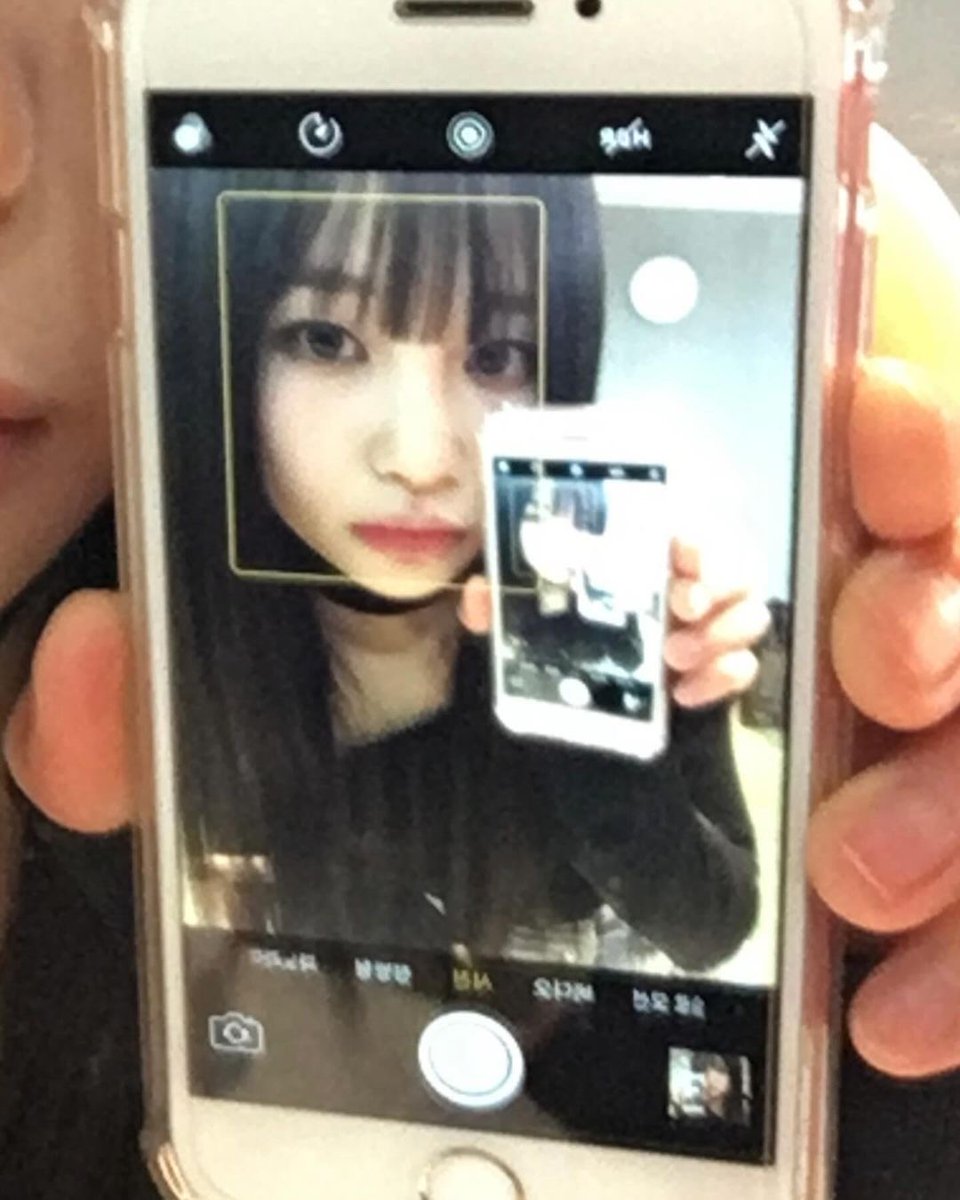 윜카이브 tweet media