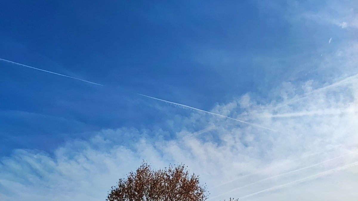 ShowMeTheSky1's tweet photo. #28Diciembre Zona Este de #Madrid "Nubes Altas" #NubesFinas #VaporDeAgua #CieloRayado #Pajaritos #RotuladorBlanco #Estelas #CieloLechoso #Aerosoles @purereason1972 @Pablo_Arabia @Armando_G_88 @GeoingenieriaMu @LaaGataNegra @selvanegra400 @anarcopropiedad @Xixonto1 @mvaleraes https://t.co/Ym54ppqHXW