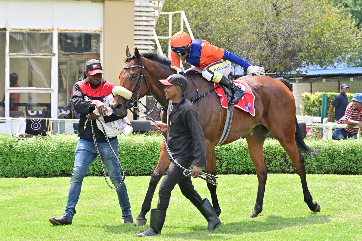 JC_Photos1's tweet photo. Another winner for @jvvuuren_racing in Race 4. @dancewithkhumal gets the winning ride on TIME FO ORCHIDS (4 B f Time Thief🇦🇺). https://t.co/s2drjIDlLh