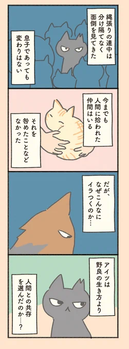 #もしも猫外伝   「菊次郎とふみ」その9   1日1ページ更新。