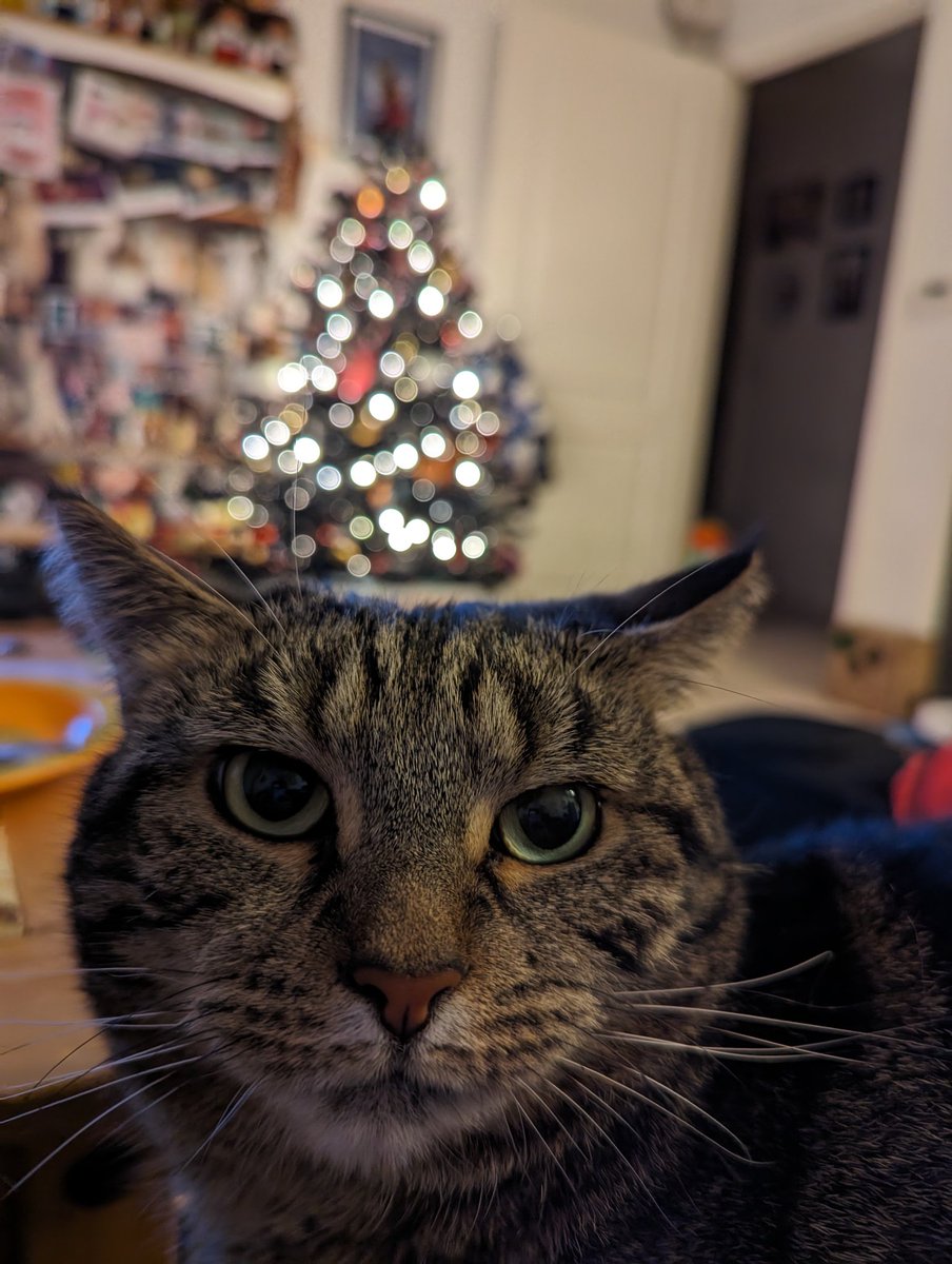 I am a Christmas angel