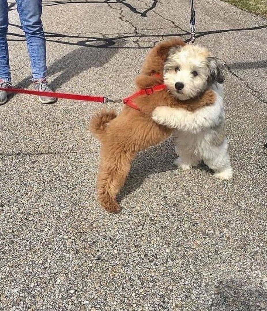 Cuando te encuentras al colega que quiere irse de cañas, pero los dos vais con las mujeres…