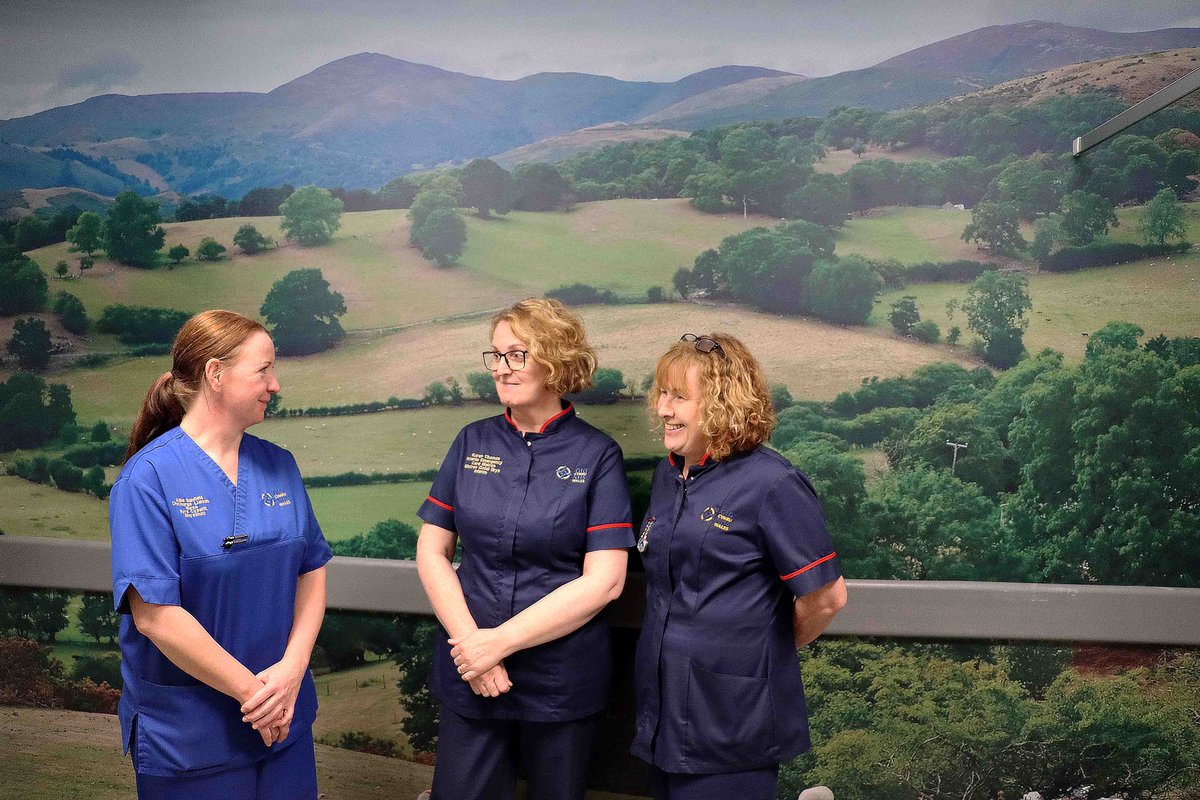 SwanseabayNHS's tweet photo. A little bit of the outdoors is now inside Morriston Hospital’s Emergency Department (ED) brightening the surroundings for patients and their families. More https://t.co/UzCCpj8GrW https://t.co/vIx7Iy0VRQ