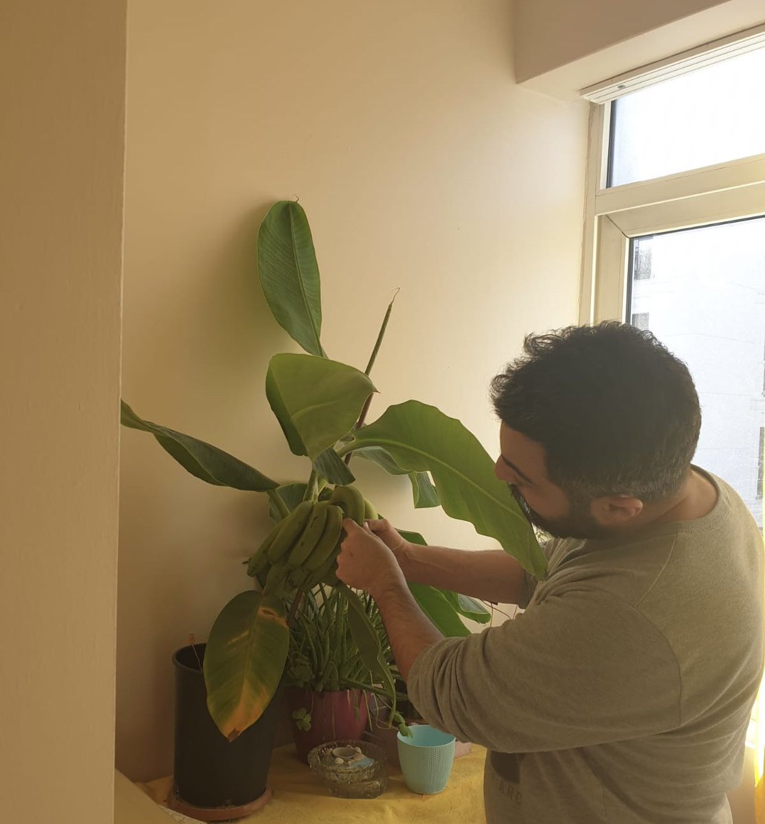 Yoksa siz muza para mı veriyorsunuz? 🐨