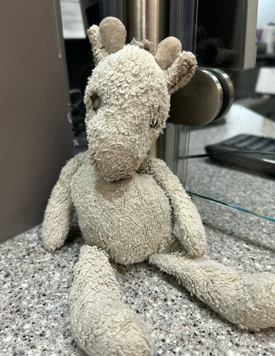 LNER's tweet photo. Has anyone lost this little one at #Durham getting on a @CrossCountryUK service towards. #Edinburgh 🦒 https://t.co/2CoNiMmV70