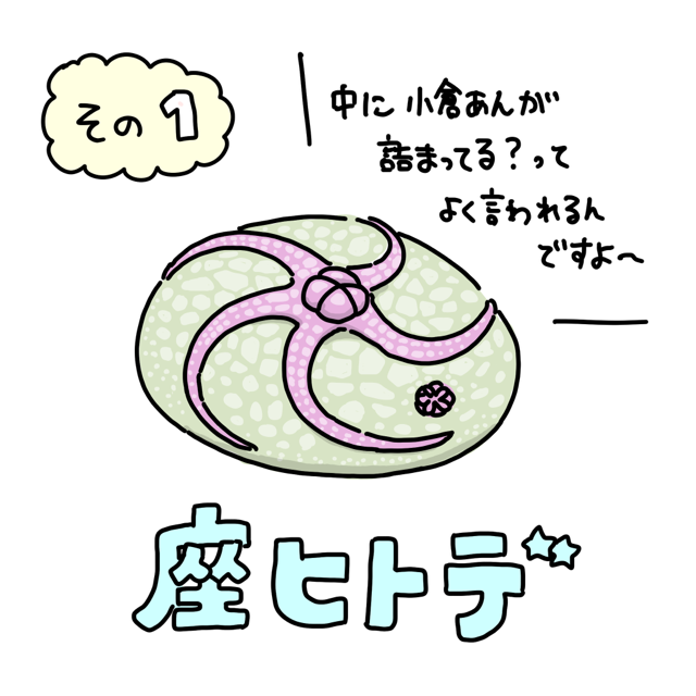 コラボ企画 with 古生物若手の会 @Youngpaleo 
#推せる古生物 第一弾はこちらの座ヒトデさん 