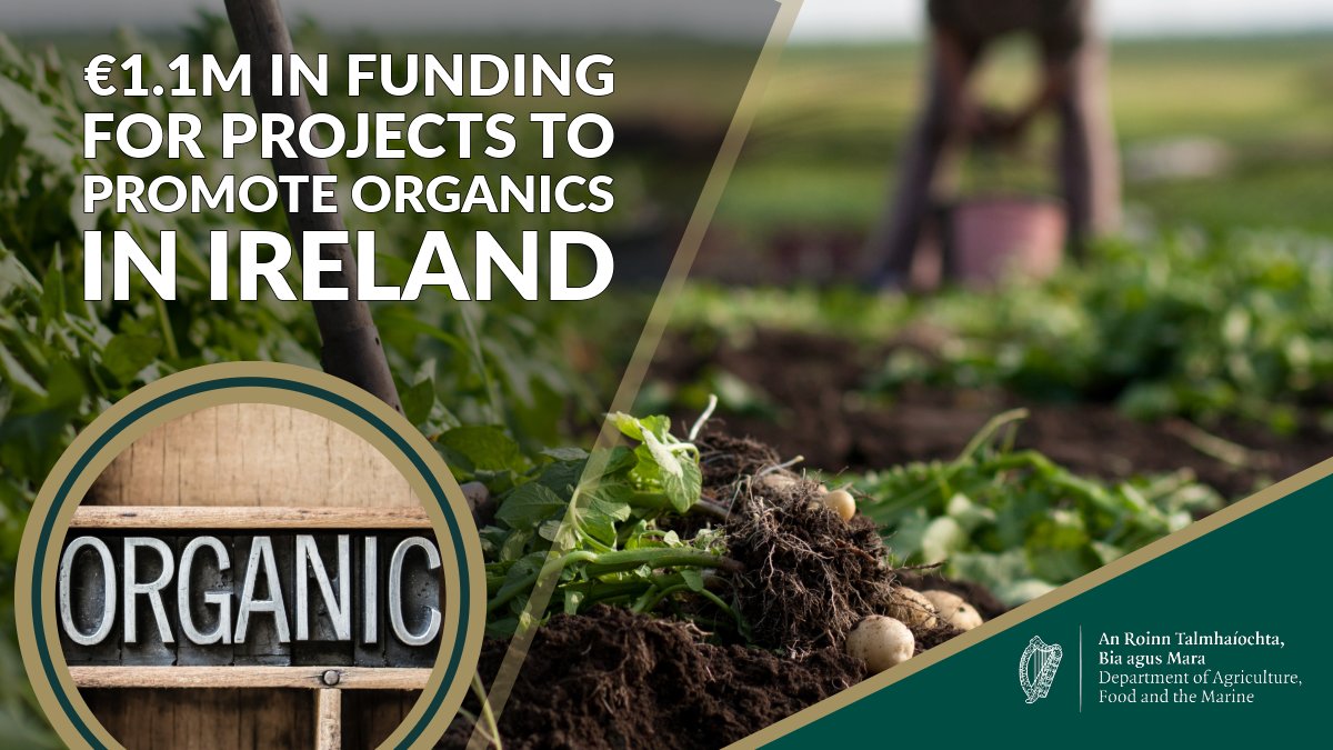 A total of €1.1 million in funding is being provided to 12 local and national projects to support organics. 

Ireland's Programme for Government has set a target to triple the organic land area by 2027 to approximately 336,000 hectares.

👉gov.ie/en/press-relea…