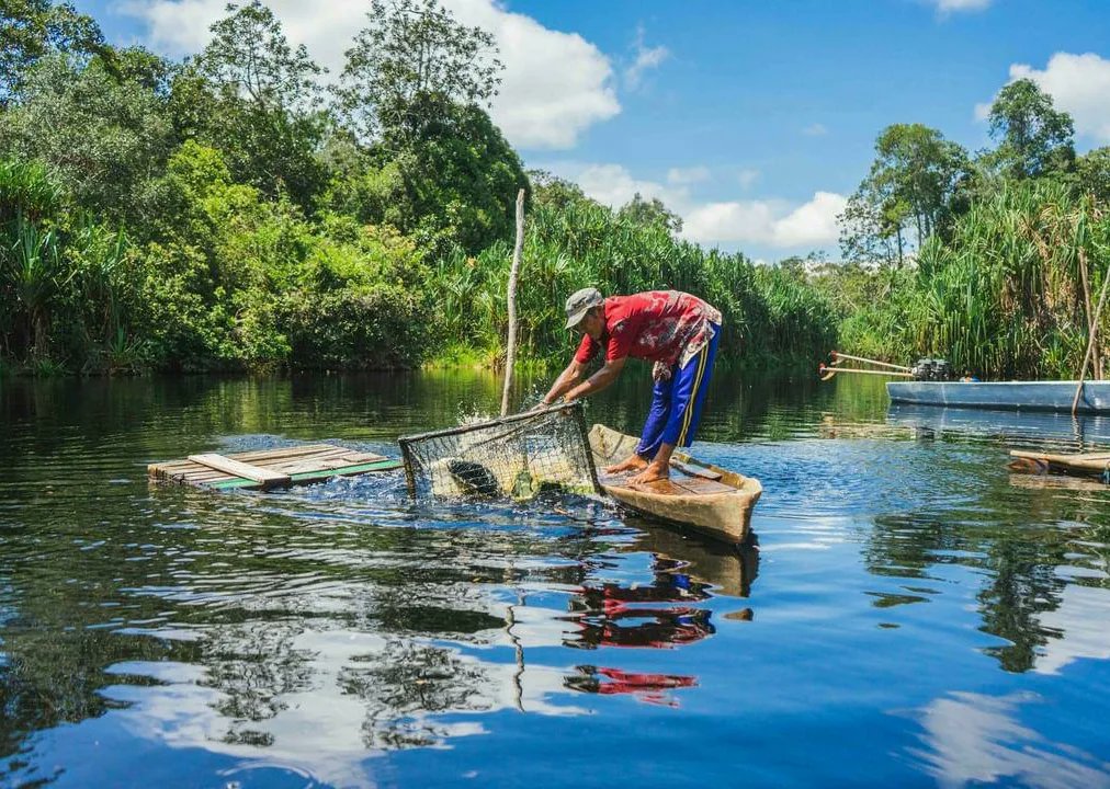 #Community involvement in RER has always been a key component in the success of our #restoration project.

In 2021, RER installed #solarpanels at 18 fishermen's huts to reduce the use of #FossilFuels, decrease the risk of fire and minimize local pollution.