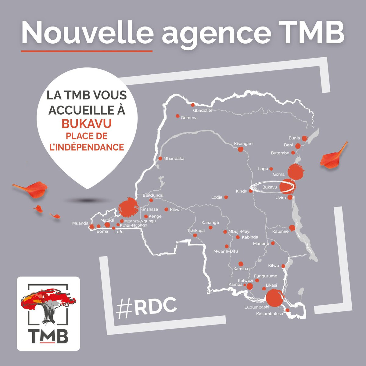 TMB_CD's tweet photo. Ouverture d’une nouvelle agence TMB Place de l’Indépendance à #Bukavu #Ibanda #inclusionfinancière #bancarisation #RDC #Congo https://t.co/AOzVdoAYUJ
