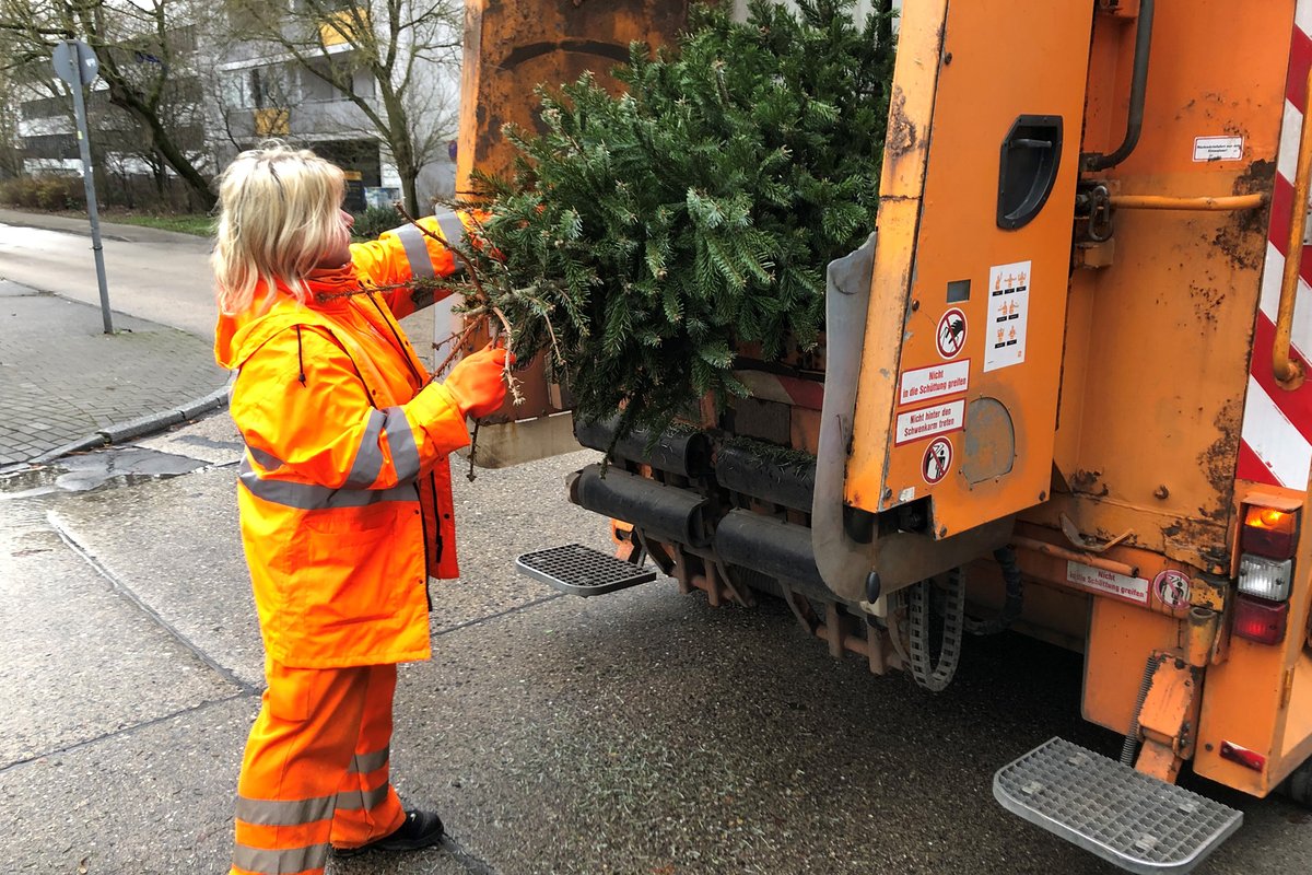 #BSR holt ausgediente #Weihnachtsbäume: Vom 8. bis 20. #Januar gibt es zwei Abholtermine pro Stadtteil 🌲 Die Bäume sollten bereits am Vorabend abgeschmückt, unverpackt und gut sichtbar an den Straßenrand. ℹ️ Alle Infos: bsr.de/leise-rieselt-… #Berlin #Weihnachtsbaum #Orange