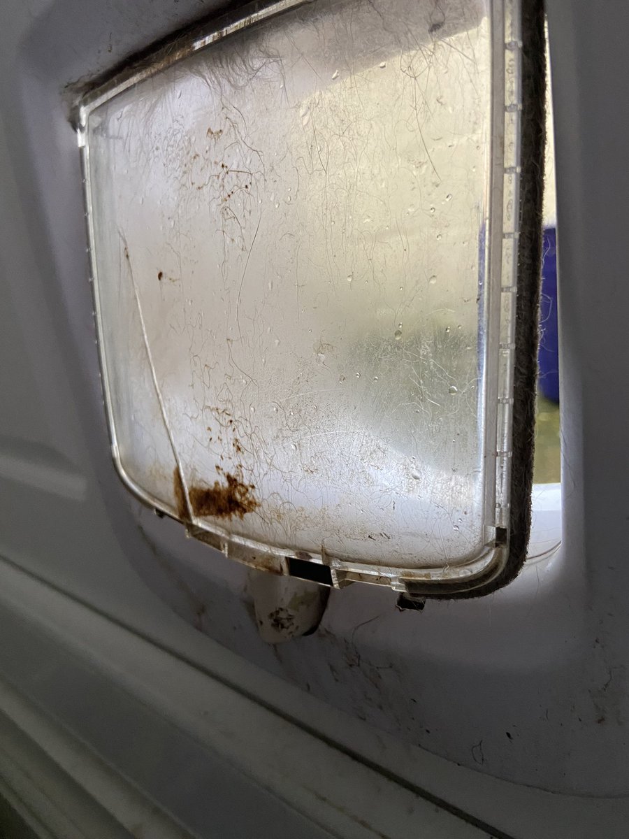 tessthebutler's tweet photo. *puts puppy out to have a wee*
*locks cat flap so she stays out for 10 mins*
5 mins later Meg bounces into the living room
Me “How the hell?…”
Meg ‘Fixed that pesky flap thing for you’ *wags tail*
😩😂 #LifeWithAPuppy https://t.co/iAyljJPvYp