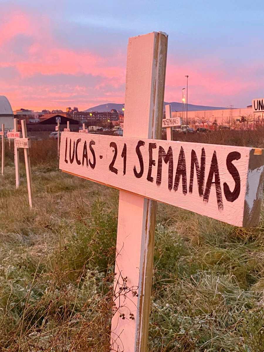 UniCatolicos_es's tweet photo. El abortorio de Pamplona amanece con cruces en frente del edificio en memoria de los más de 7.000 navarros víctimas del genocidio del aborto.

#SantosInocentes https://t.co/lb4c6KIlBx
