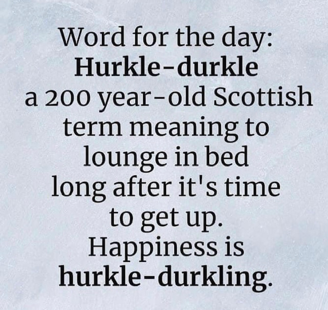 1017theOne's tweet image. 'Tis the season...I hope you get to hurkle-durkle all day long! Happy Thursday! ~Julie B #sleepingin #happiness

Today: Periods of rain. Fog dissipating High 9

Tonight: Rain ending tonight 4

Tomorrow:  Periods of rain or drizzle. Temp steady around 4
Sat: Chance of flurries 1