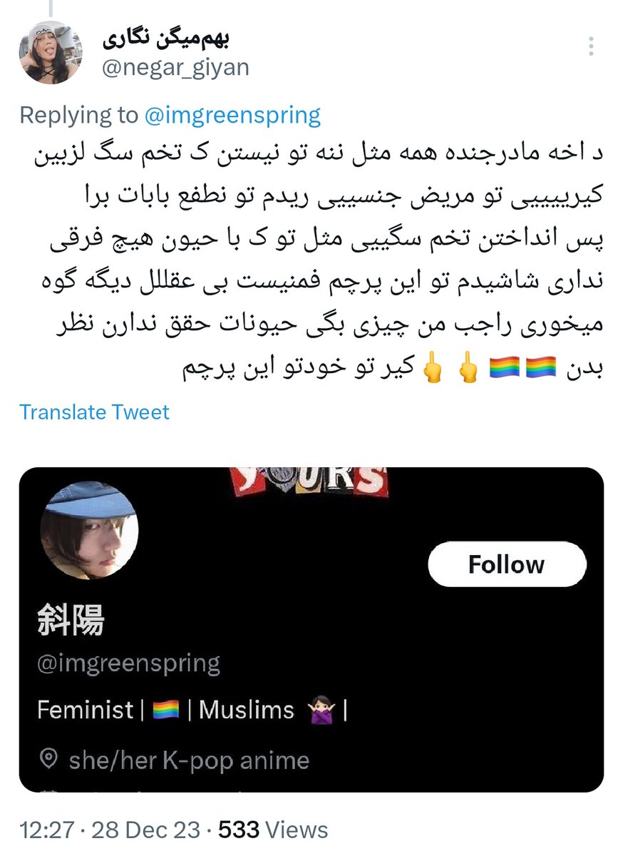 بجای جروبحث با کسی که دهنش هیچ فرقی با دسشویی نداره و فوش جنسی هم میده، بهتره فقط  ریپورتش کنین.