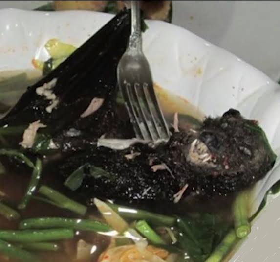 Safex_Community's tweet photo. Recovering from SPTSD Safex Post Traumatic Stress Disorder is hard.
As a consequence, many develop eating disorders and an unexplainable change in their diet.
We don't recommend eating wildlife under any circumstances. https://t.co/Az8reLIfqP