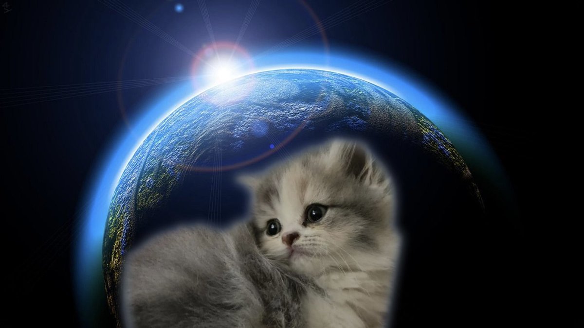kitaneketsudana's tweet photo. 宇宙ぴの置いておきます https://t.co/6YQQaVcv2I