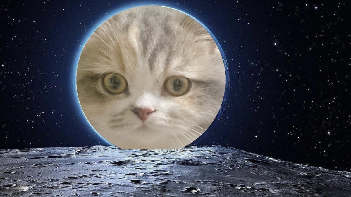 kitaneketsudana's tweet photo. 宇宙ぴの置いておきます https://t.co/6YQQaVcv2I