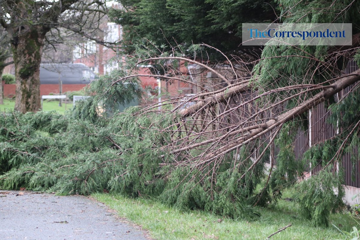 HUDDERSFIELD ROAD, COPLEY

Police are closing Huddersfield Road in Stalybridge because of a tree cracking and getting worse close to the carriageway outside Active Copley.

Read more: tamesidecorrespondent.co.uk/2023/12/28/tor…