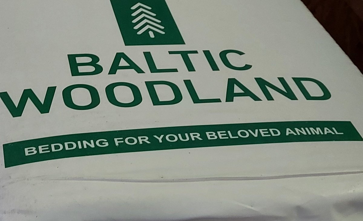 Latvian-African friendship account tweet media