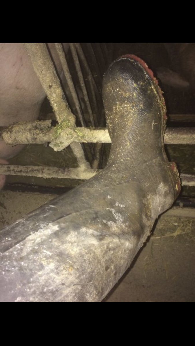 Seppi90 (@seppi88605) on Twitter photo 