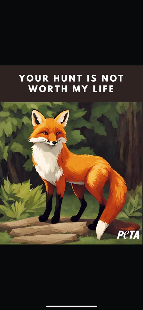 ShropshireWild1's tweet photo. Hunting any mammal is a serious and cruel crime against humanity. What makes a hunter hunt ??? Leave cruelty out of your life, support hunt monitors and sabs protecting the innocent, there’s roles for everyone #wildlifecrime #huntthehunter #AnimalCruelty @peta @ProtectTheWild_ https://t.co/2gt5d12INx