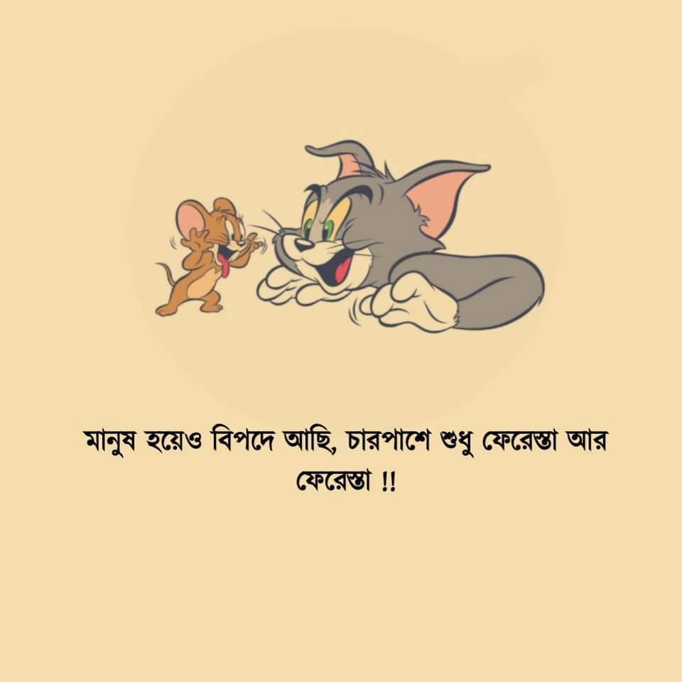 @ASHRAF (@ashraf71205018) on Twitter photo 