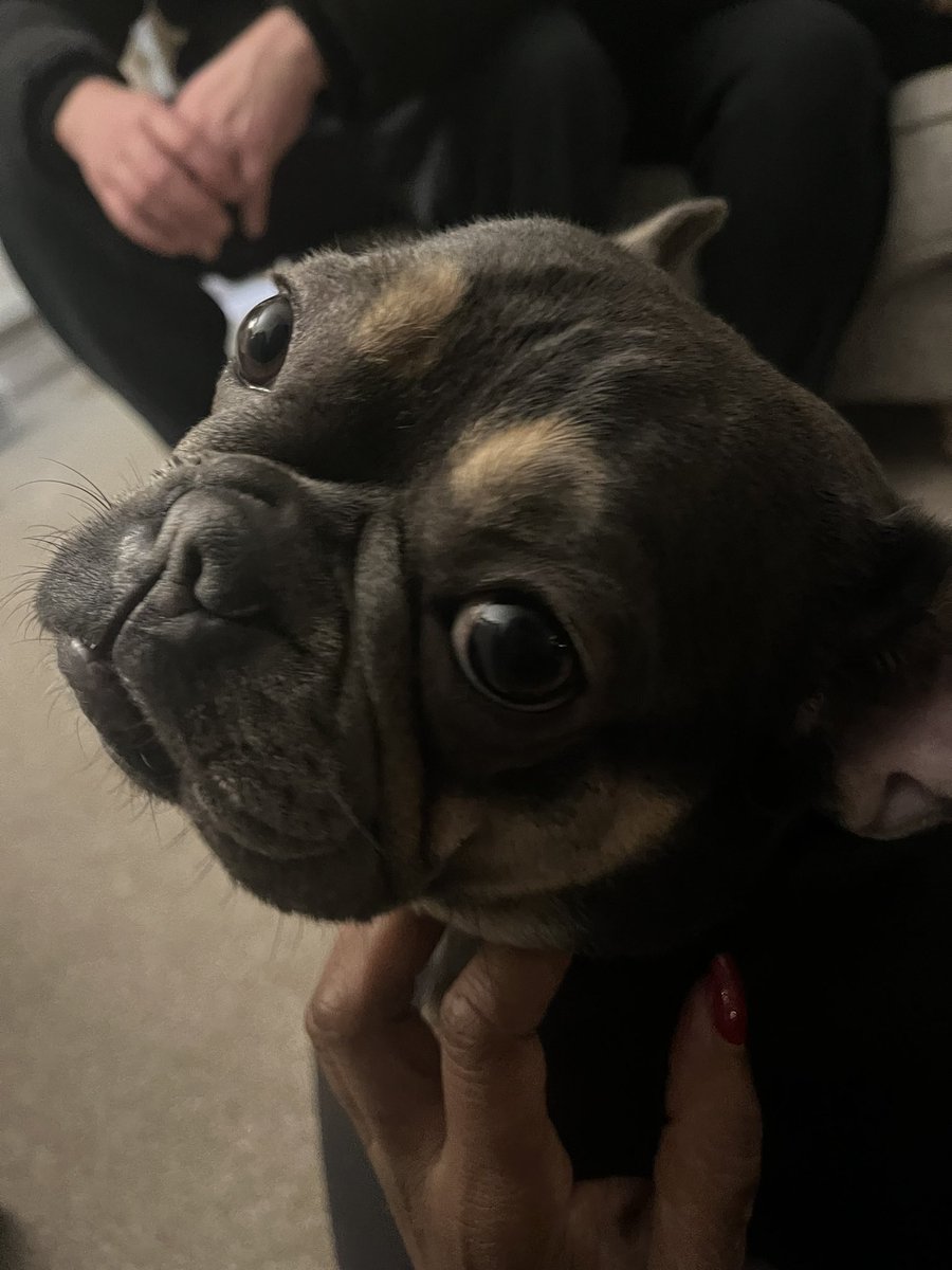 cdlovelace's tweet photo. Latest addition to the Lovelace/Moore family, Mabel Moore 🥰 https://t.co/0iPPZLAdVl