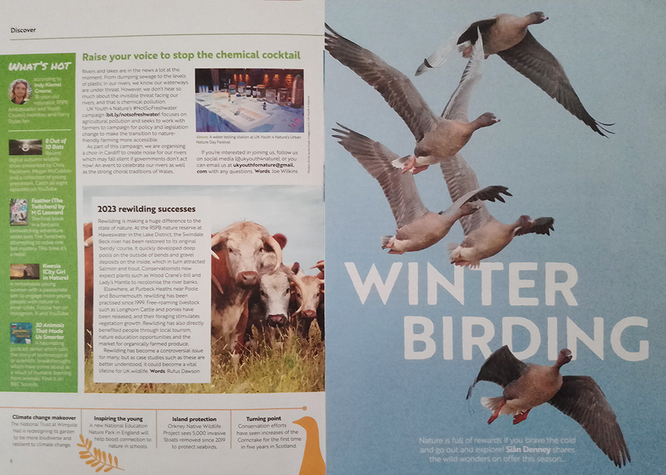 Very happy to have this photograph of Pink-footed Geese reproduced in the Winter/Spring 2023 issue of @rspb Wingbeat magazine. Taken at NWT Cley Marshes @NWTCleyCentre October 2023