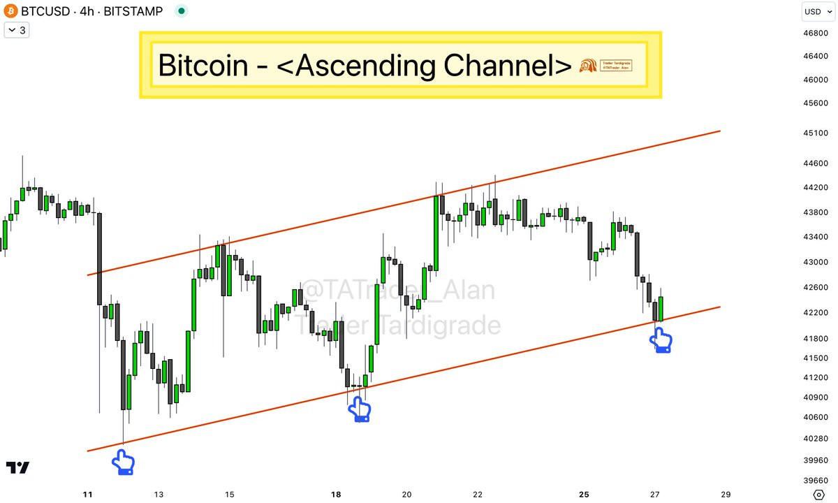 bethan_ceri🦄 tweet media