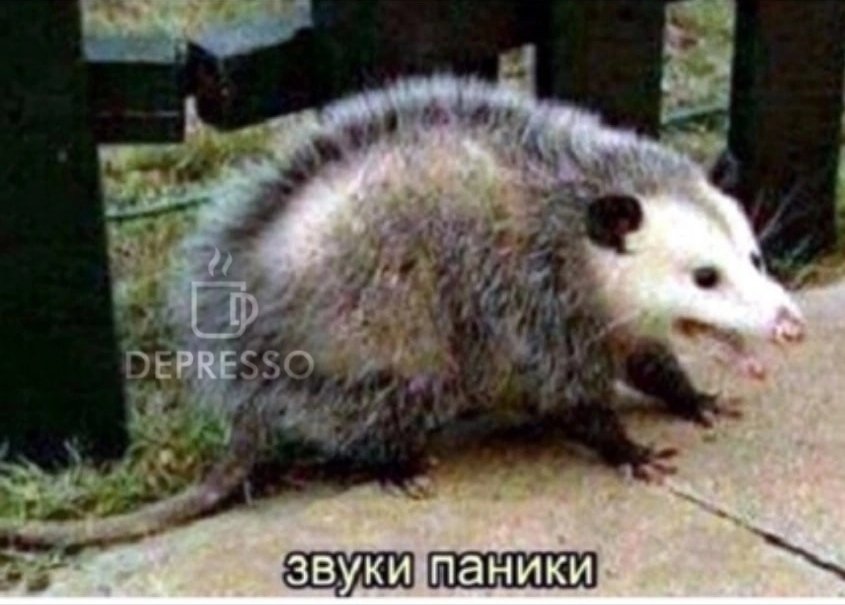 #19DAYS

Цзянь: *направляется к выходу из комнаты*
Чжэнси, зная, что каждый его шаг может обернуться катастрофой, падением или очередным похищением: