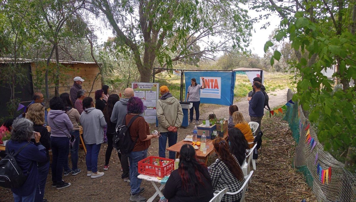 prohuerta's tweet photo. Prohuerta | #Territorios

En Puerto Madryn, Chubut, se llevó a cabo el encuentro de intercambio de semillas, plantines y saberes, y se realizó la entrega de certificados de fin de curso a promotoras y promotores.

¡Gracias compartir estas imágenes!

#ProHuerta @intaargentina https://t.co/bmgcen2gir