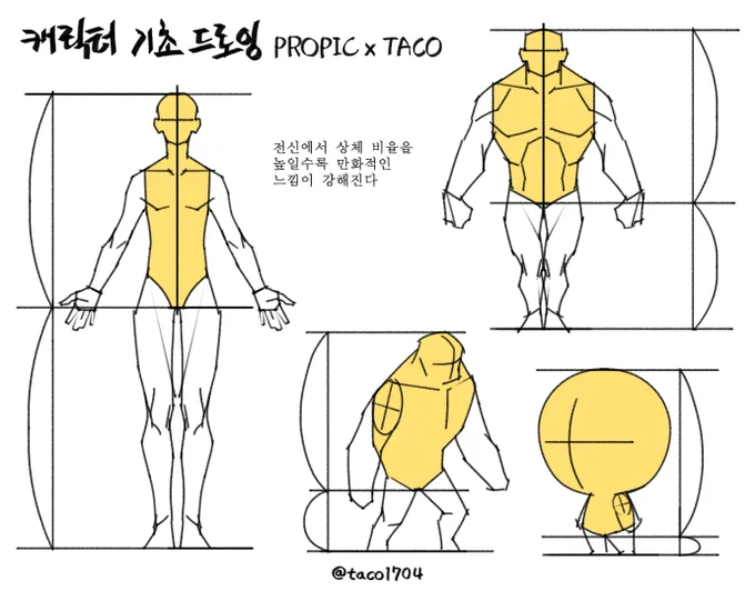 전신에서 상체 비율을 높일수록 만화적인 느낌이 강해진다