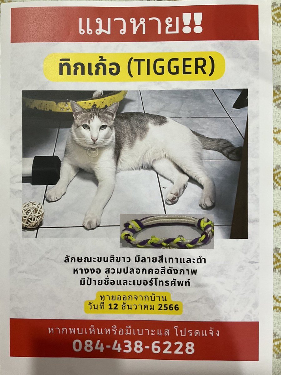 CatsterClub's tweet photo. ‼️ตามหาน้องแมวค่ะ‼️
พิกัด อยู่ แถว หมู่บ้านปรีชา 3 ซอยพัฒนาการ 48 ถนนพัฒนาการ แขวงพัฒนาการ เขตสวนหลวง กรุงเทพฯ 10250
พบแมวคล้ายในภาพ สามารถติดต่อหาเจ้าของได้เลยนะคะ ช่วยกันกระจายข่าวก็ได้นะคะ มาช่วยน้องแมวให้ได้กลับสู่บ้านที่อบอุ่นกันค่ะ https://t.co/2ixCYdmloZ