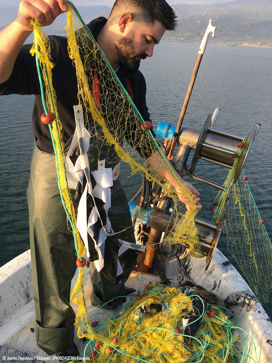 ornithologiki's tweet image. 🌊In cooperation with fishermen in the Gulf of Kalloni, in #Lesvos island, @ornithologiki and @iseaorg are trialing -first for Greece- mitigation methods to reduce accidental #bycatch of seabirds, under the framework of the #LIFEPanPuffinus project: ➡️ bit.ly/48zD41q