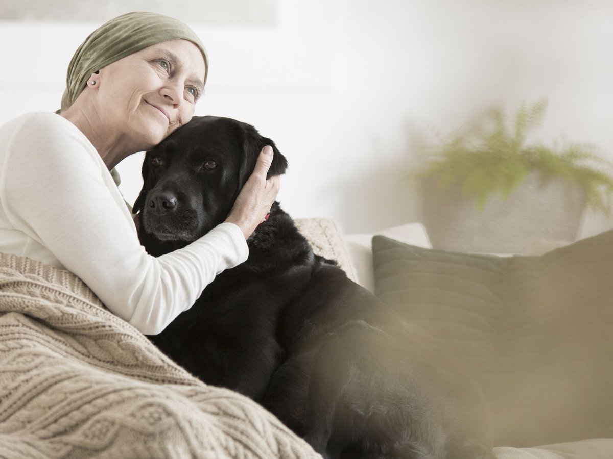 Are you or someone you know struggling with feeding &amp; caring for your/their pet? Check out our programs &amp; qualifications for low income seniors and those disabled by life-threatening illnesses at palsatlanta.org/services/pet-f… #atlanta #lgbtq #pets