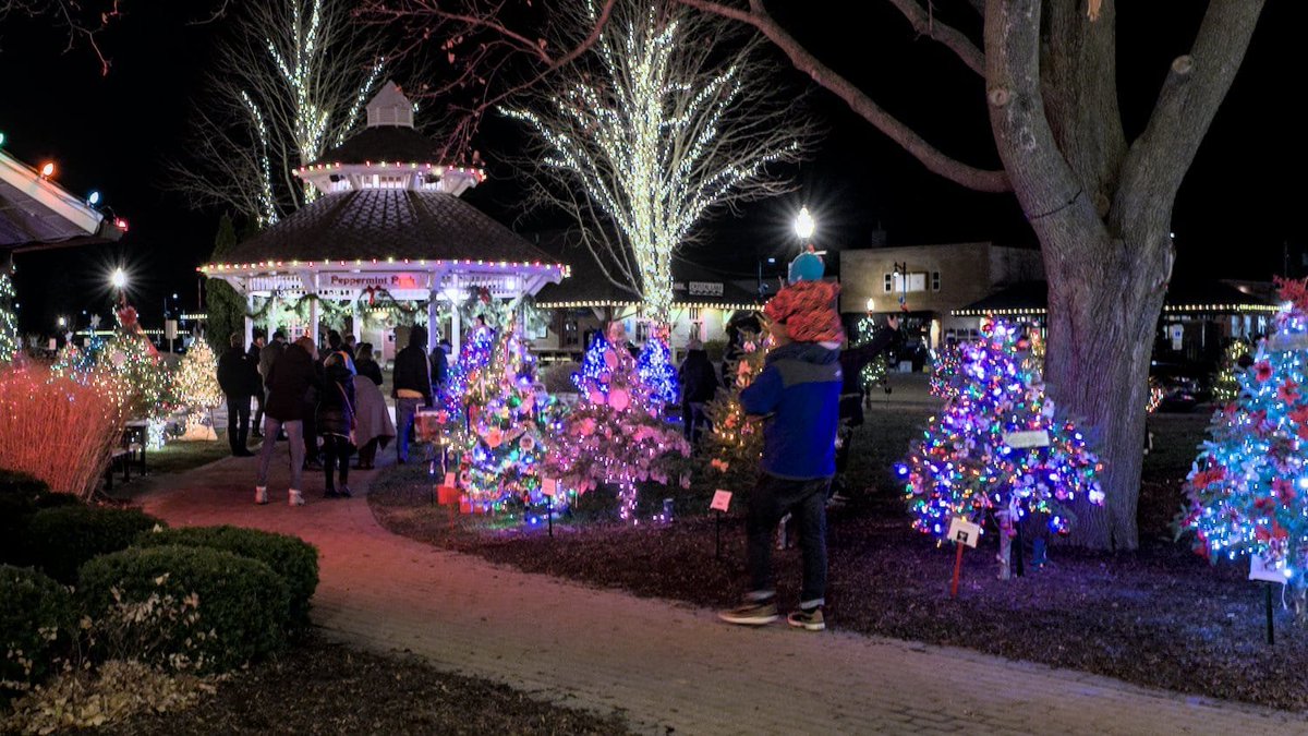 Time is running out to see the trees! Make your way to Christmas Tree Lane!
bit.ly/47QsjqX

Have a holiday event? Be sure to post it on McHenryLife.com for free!

@downtowncl
#McHenryLife #McHenryCounty #CrystalLakeIL #Christmas #festivefun #holidayfun